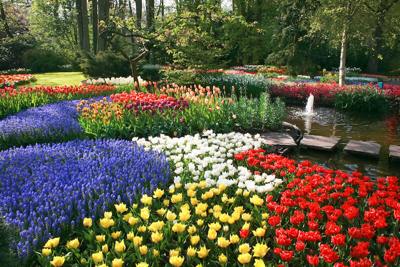 Beautiful Flower Beds