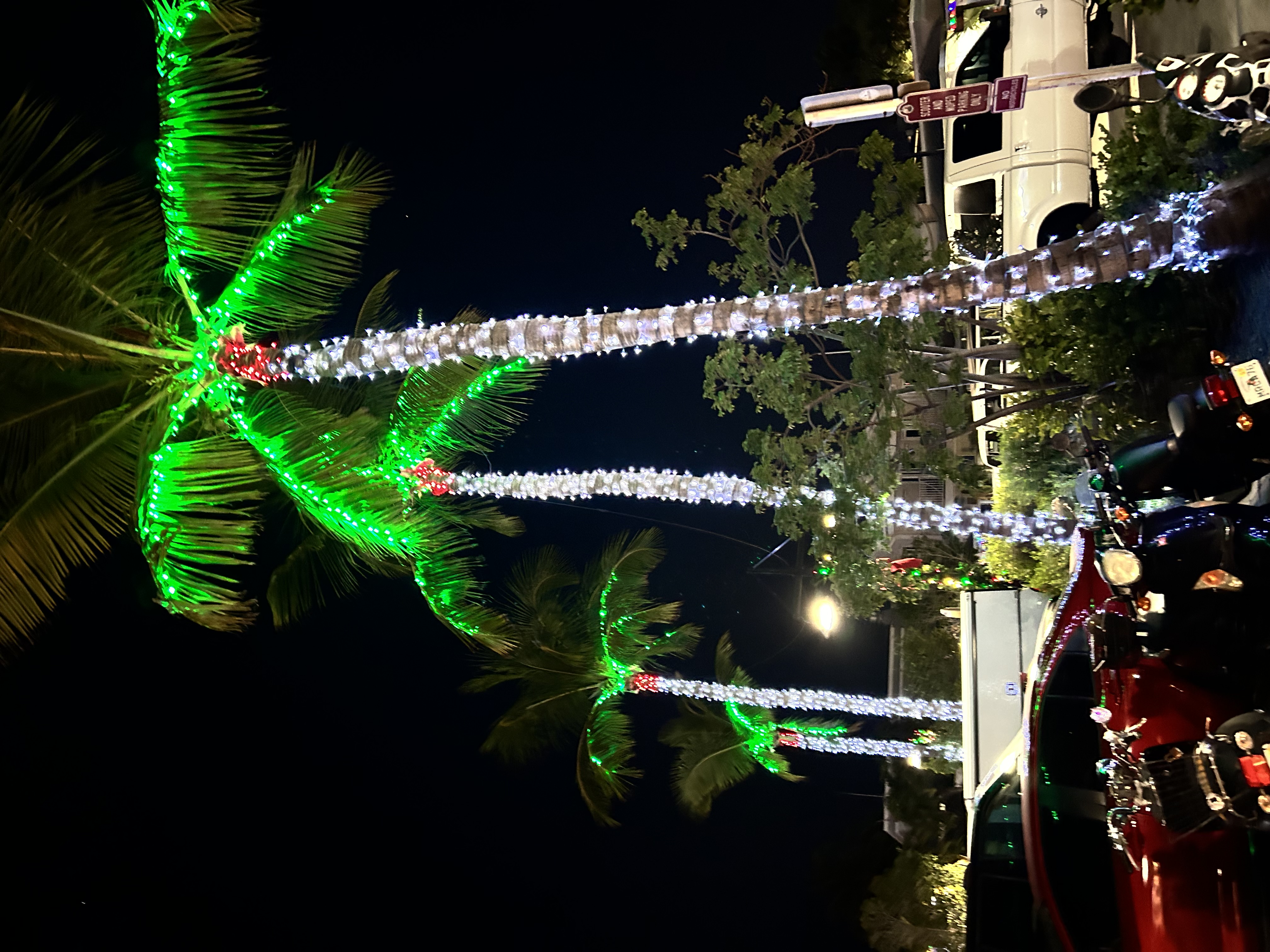 Palm Trees Key West