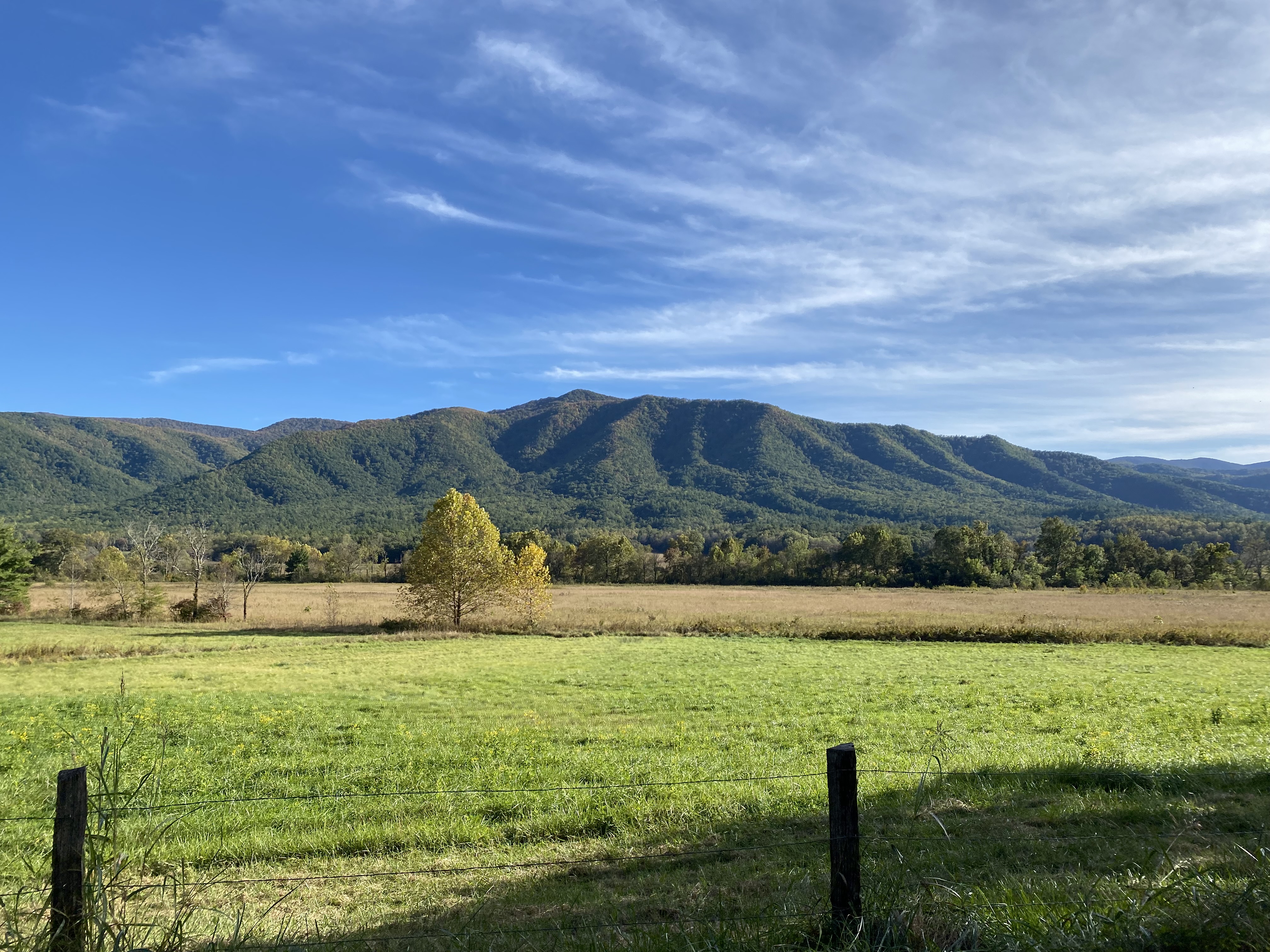 Cades Cove Fall 2021