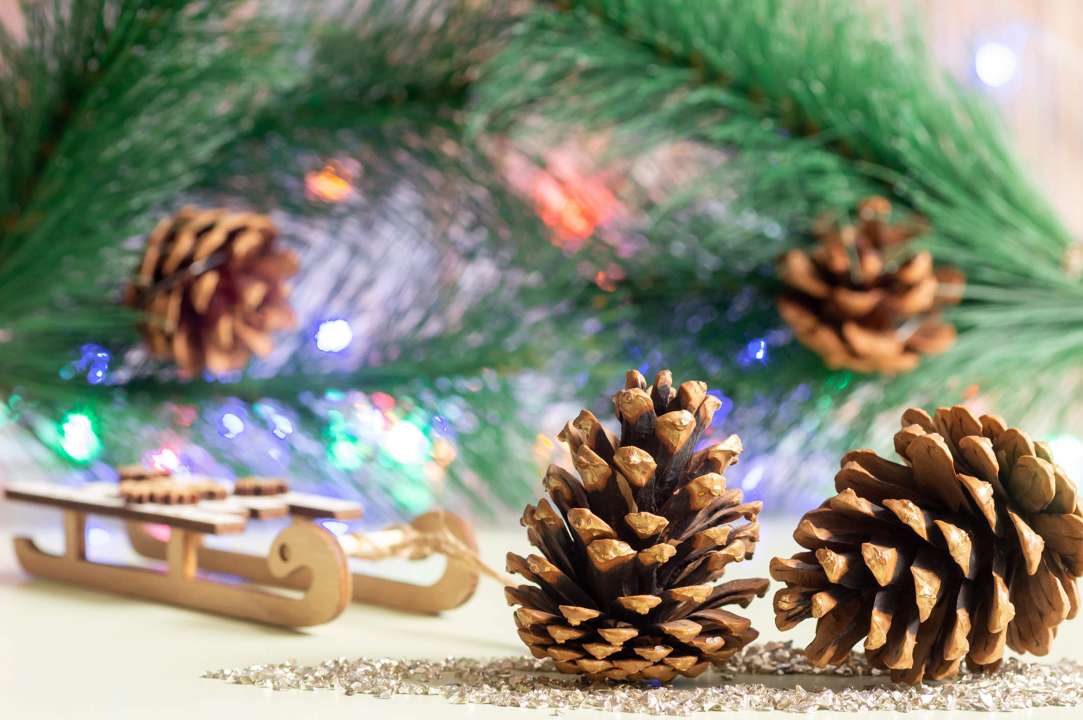 pine cones Pine cones and fresh pine for holiday decor